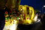 Thumbs/tn_Bloemencorso 2015 218.jpg
